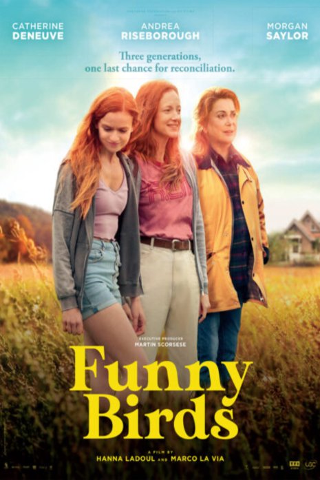 Poster of the movie Funny Birds