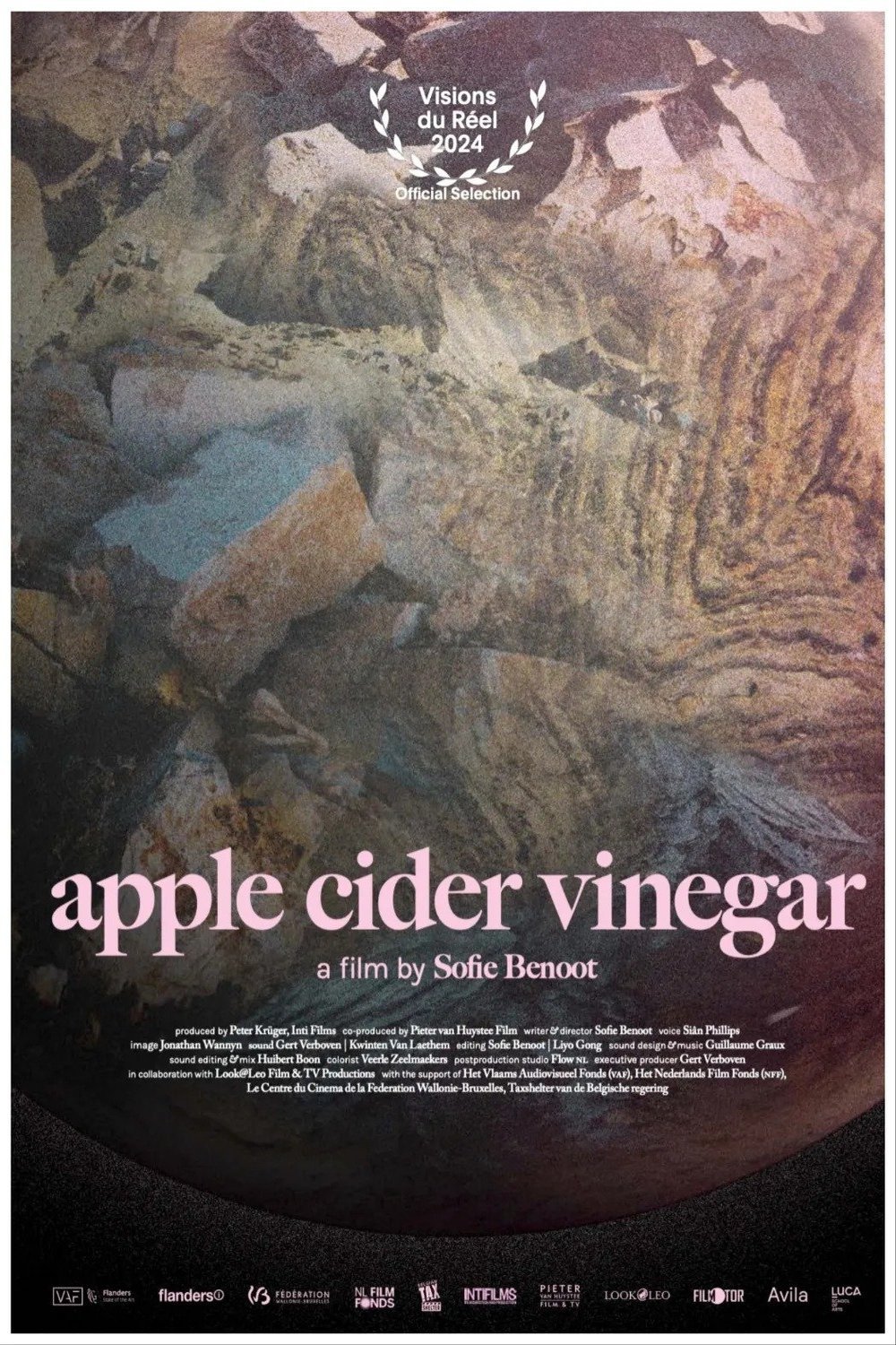 Poster of the movie Apple Cider Vinegar