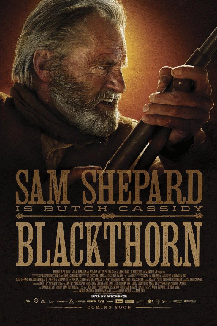 Poster of the movie Blackthorn