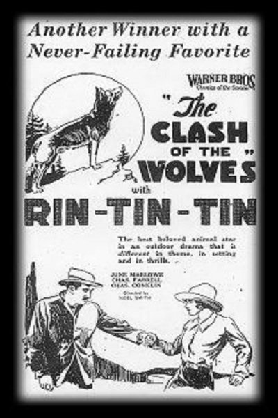 L'affiche du film The Clash of the Wolves