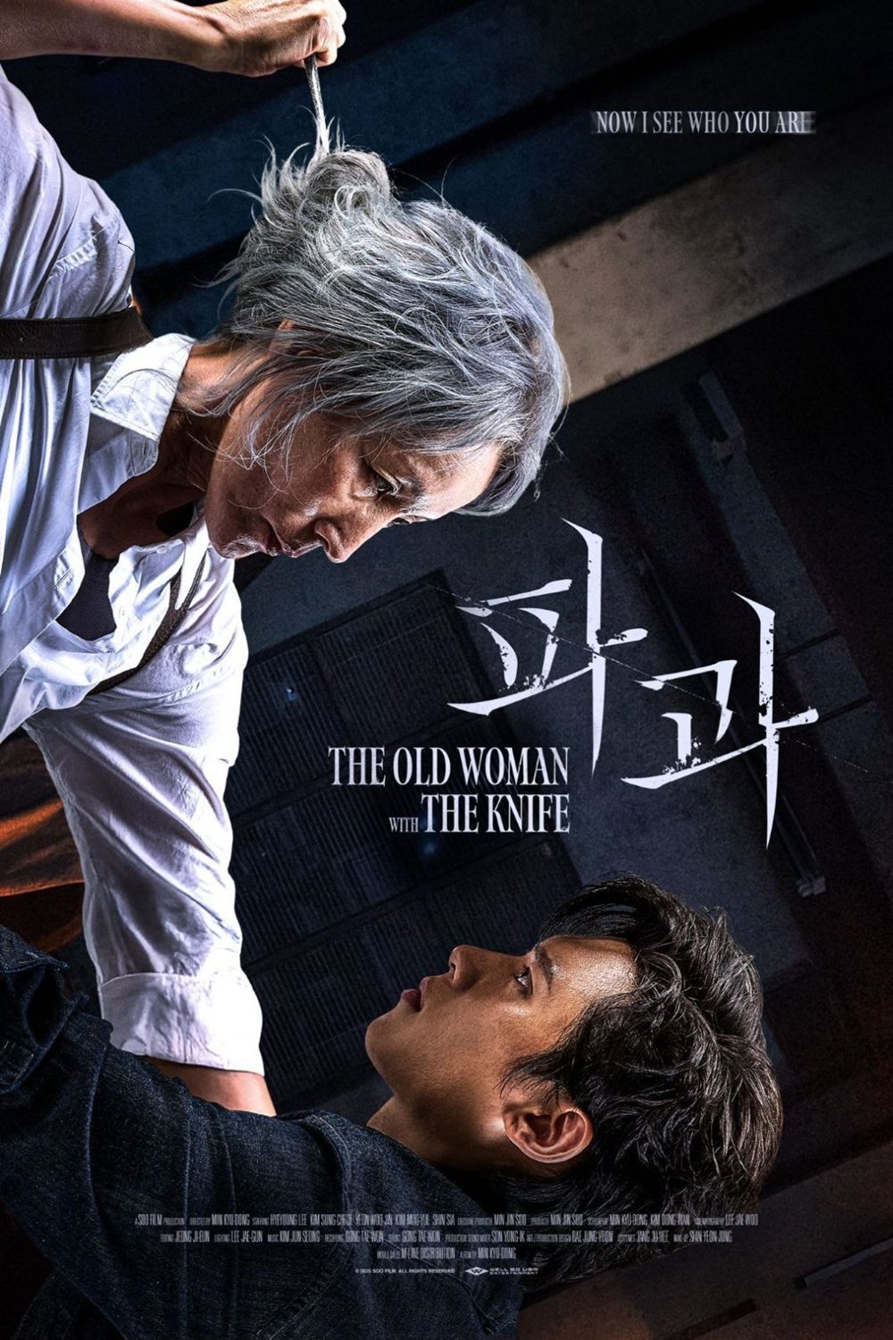 Poster of the movie The Old Woman with the Knife [2025]