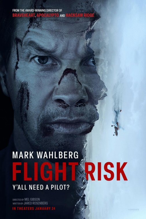 L'affiche du film Flight Risk