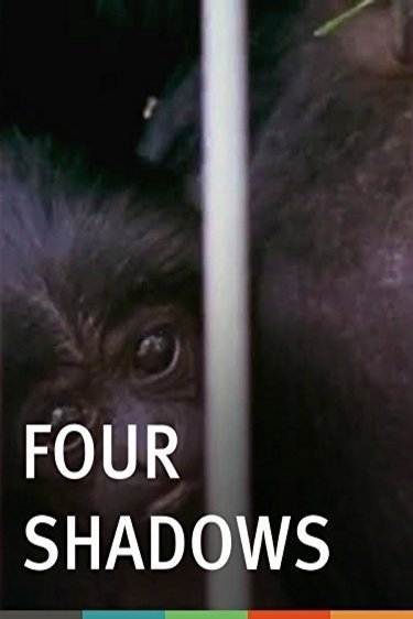 Poster of the movie Four Shadows [1978]