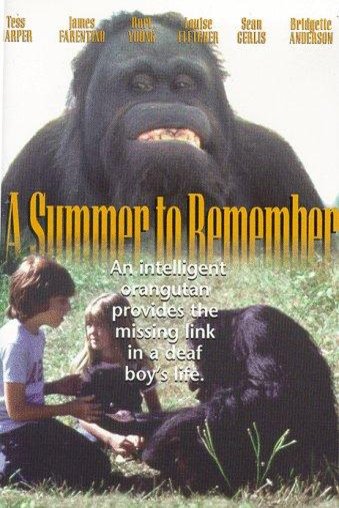 L'affiche du film A Summer to Remember [1985]