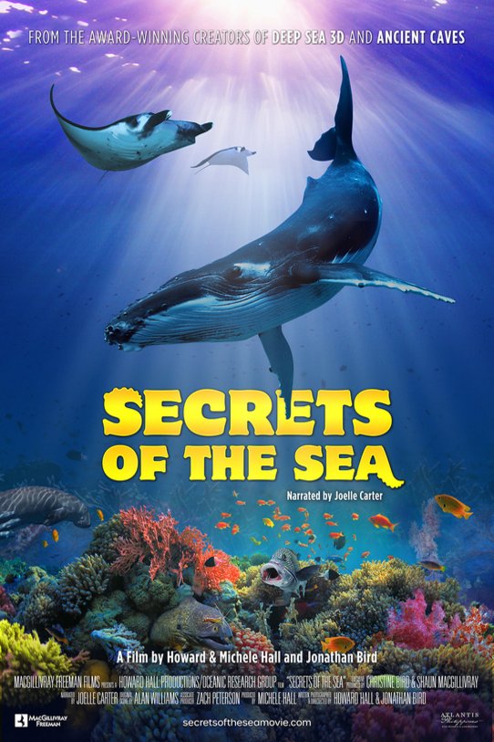 Poster of the movie Secrets of the Sea [2022]