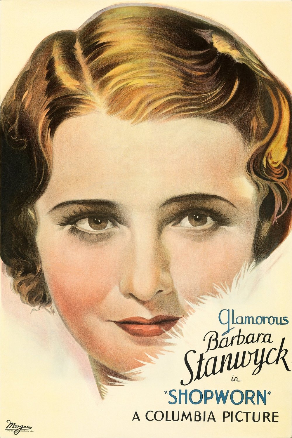 Poster of the movie Shopworn