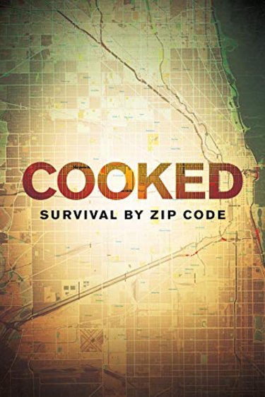 Poster of the movie Cooked: Survival by Zip Code [2019]