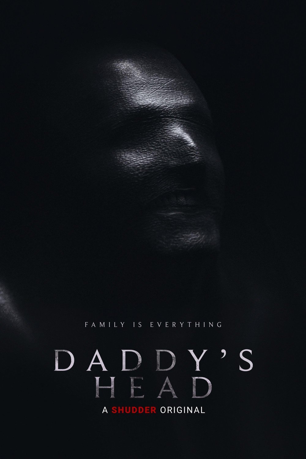Poster of the movie Daddy's Head [2024]