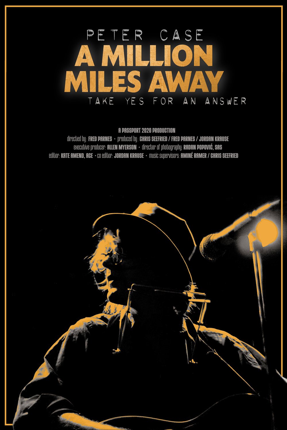 L'affiche du film Peter Case: A Million Miles Away [2023]