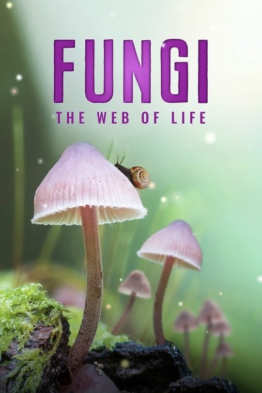 Poster of the movie The Secret World of Fungi [2023]