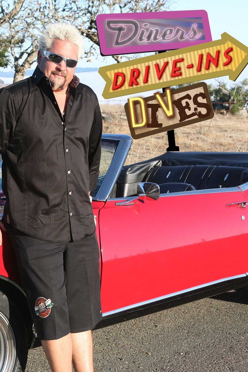 L'affiche du film Diners, Drive-ins and Dives [2006]