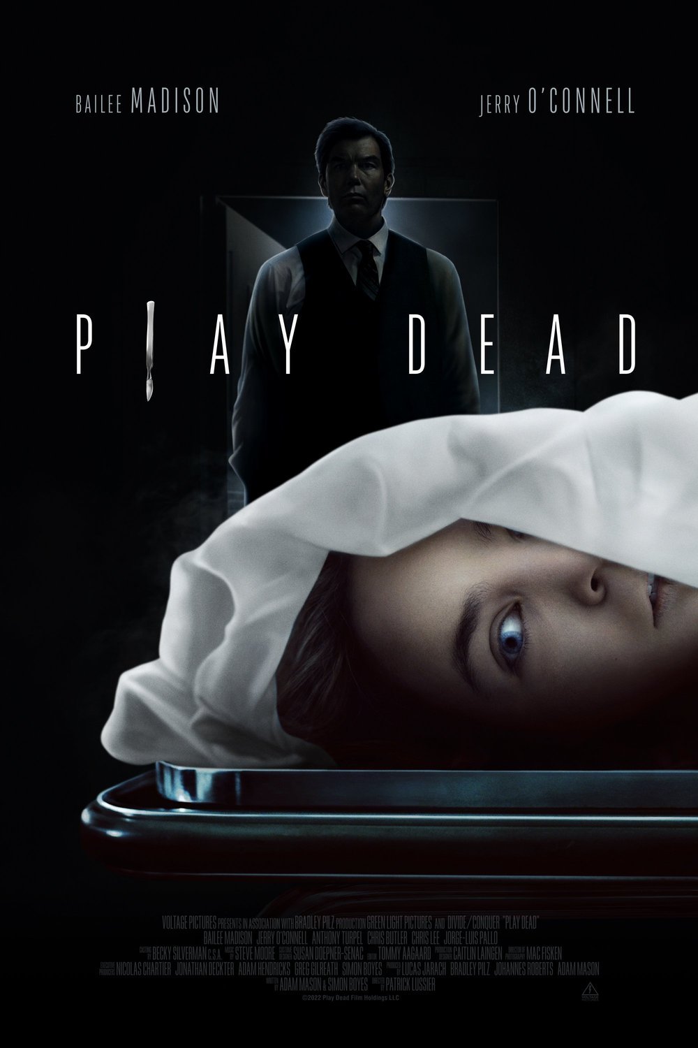 Poster of the movie Play Dead