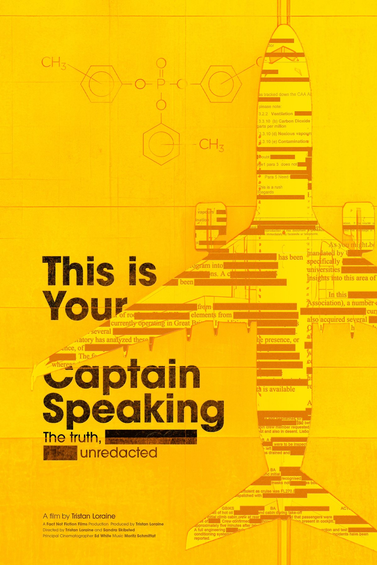 Poster of the movie This is your captain speaking [2025]