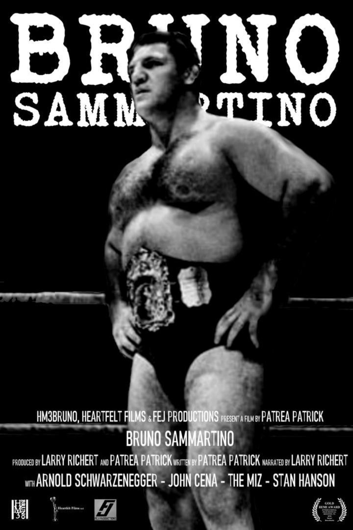 L'affiche du film Bruno Sammartino, La Mia Mama [2019]