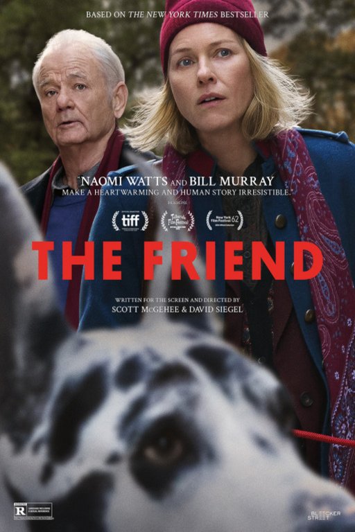 Poster of the movie The Friend