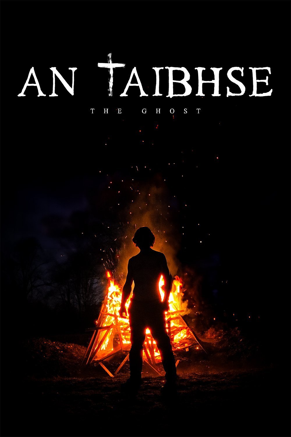Poster of the movie An Taibhse