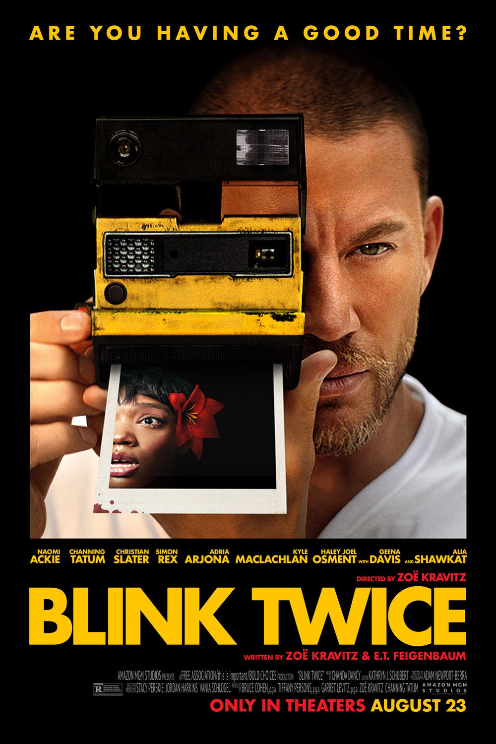 Poster of the movie Blink Twice