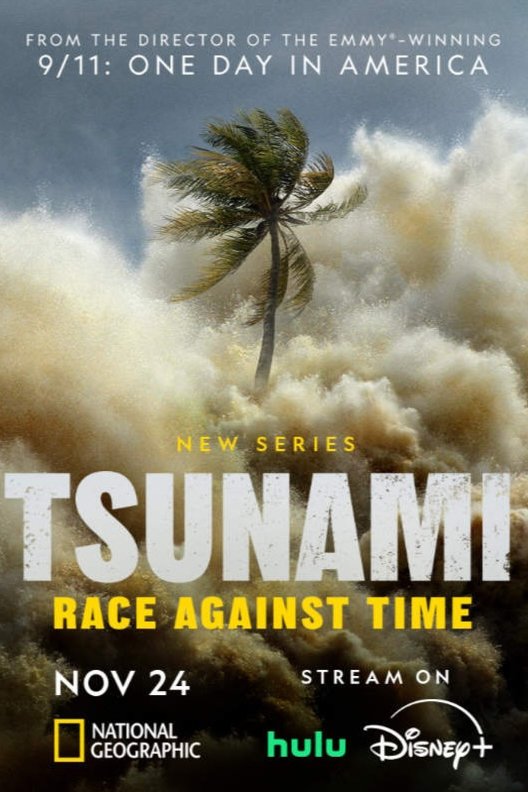Poster of the movie Tsunami: Race Against Time [2024]