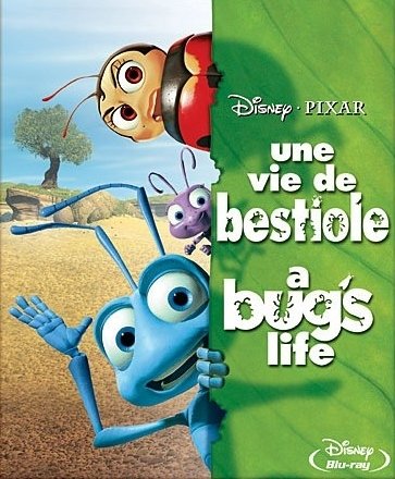 L'affiche du film Une Vie de bestiole