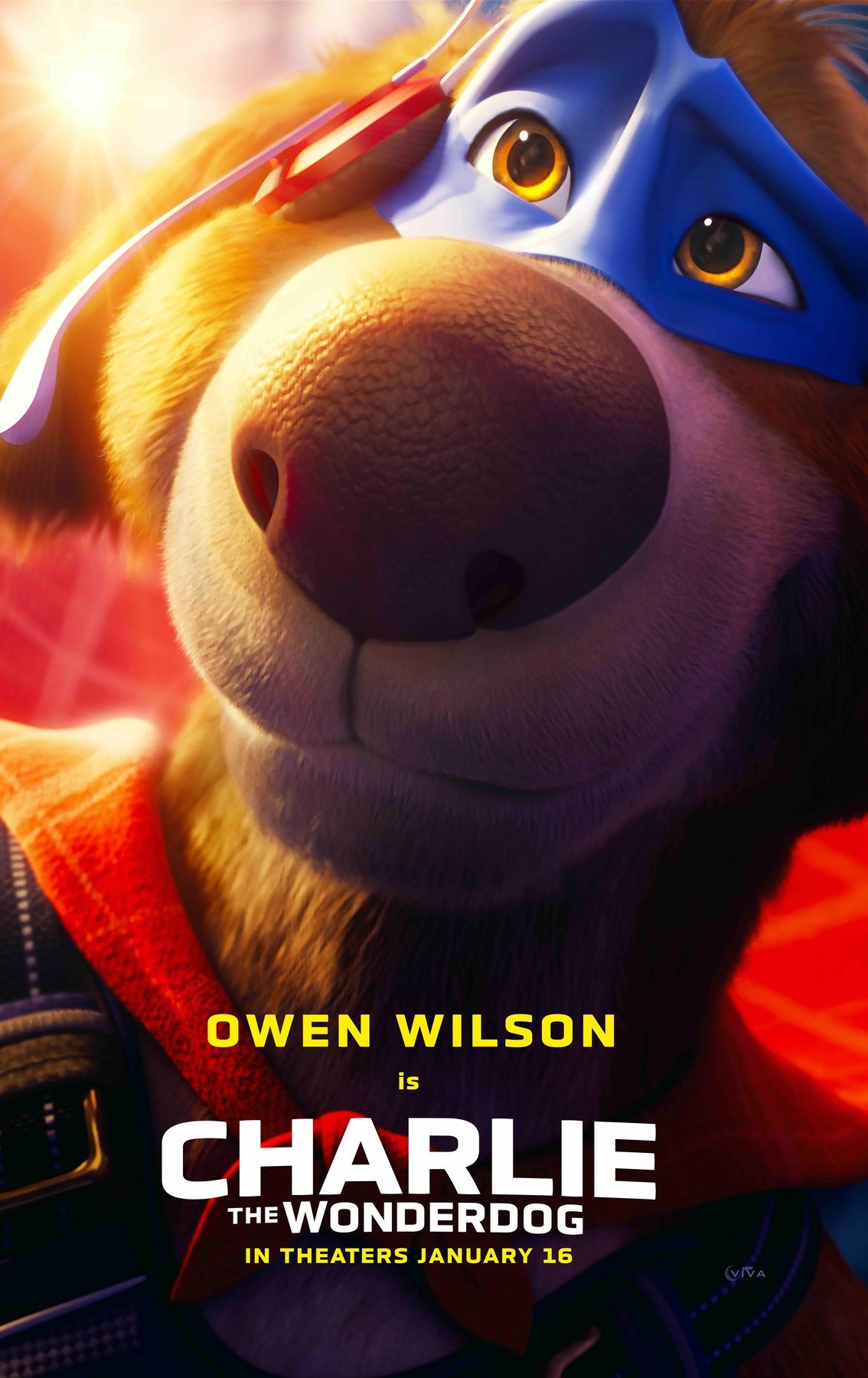 Poster of the movie Charlie the Wonderdog