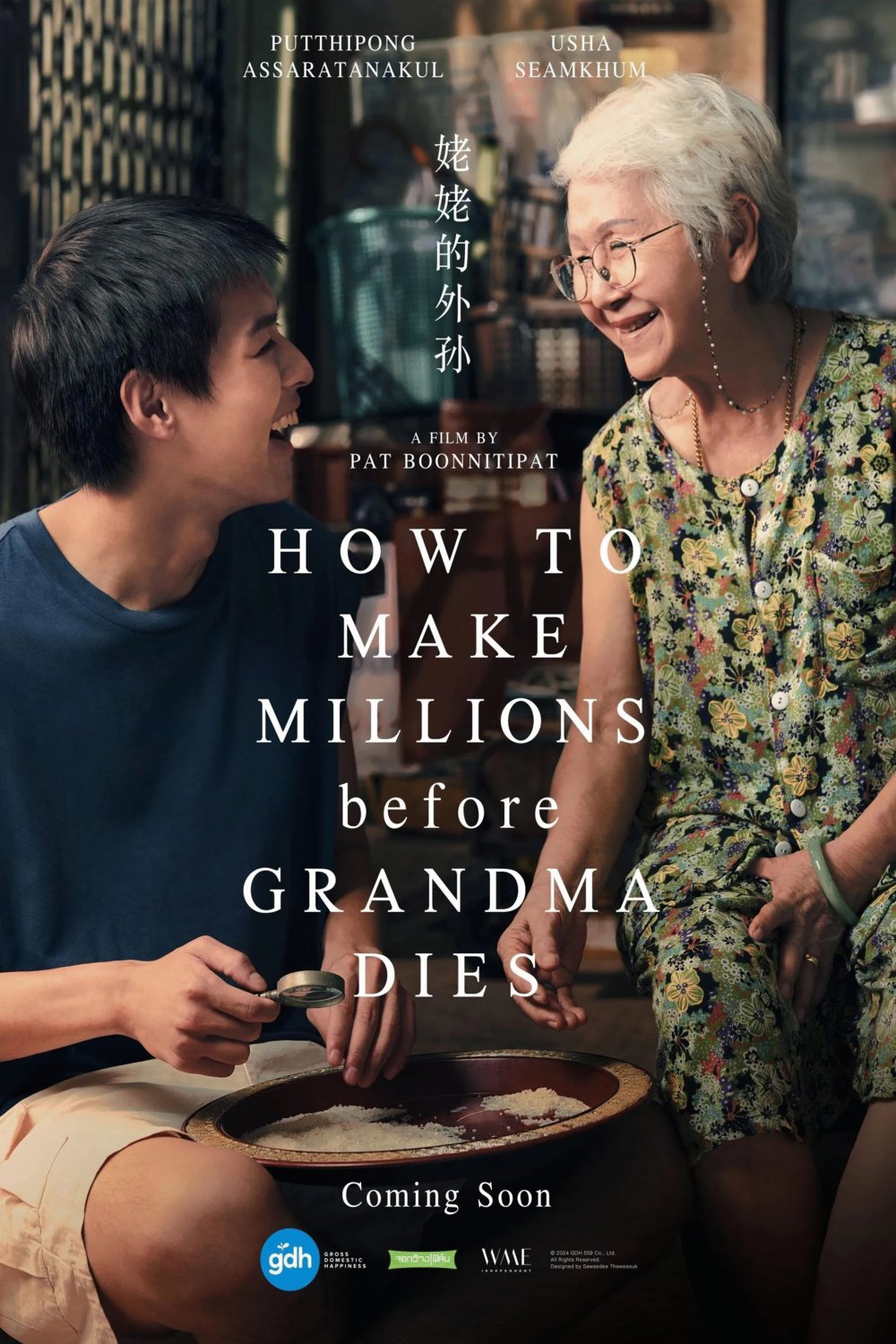 Poster of the movie How to Make Millions Before Grandma Dies