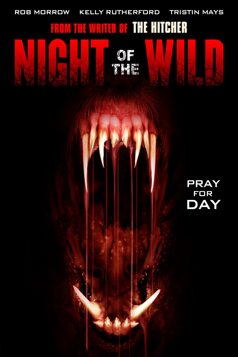 L'affiche du film Night of the Wild [2015]
