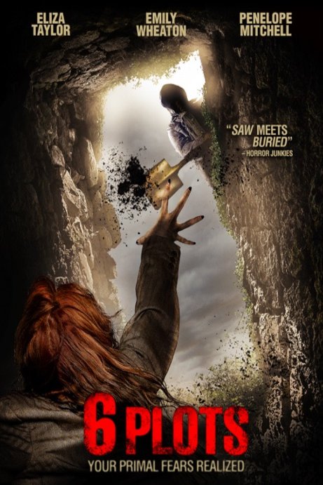 Poster of the movie 6 Plots