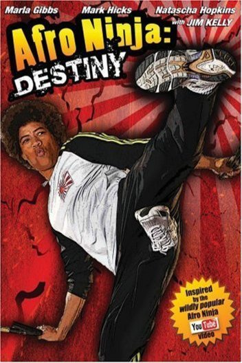 Poster of the movie Afro Ninja