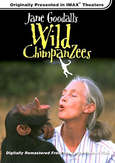 L'affiche du film Les chimpanzés sauvages de Jane Goodall