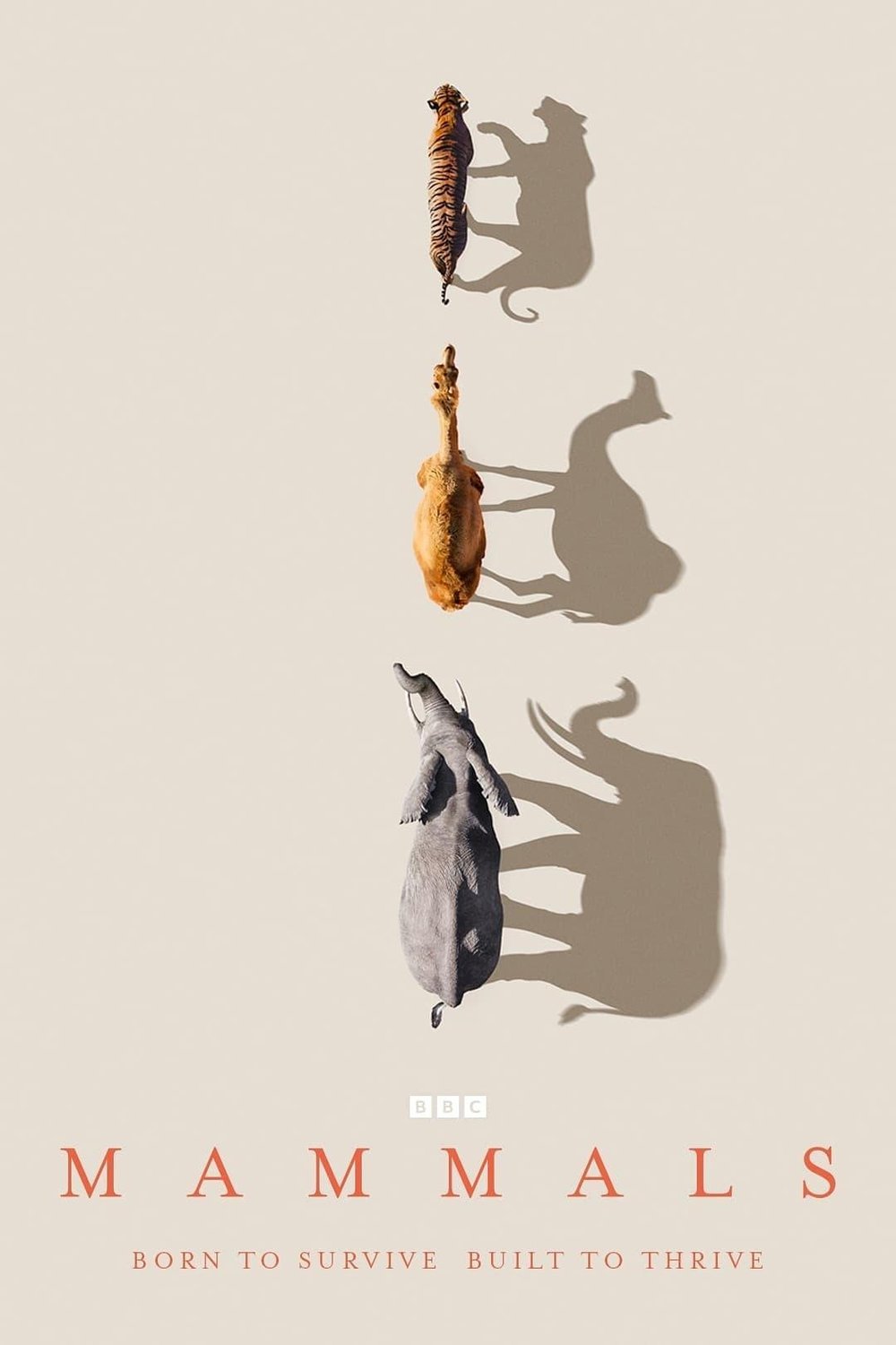 Poster of the movie Mammals