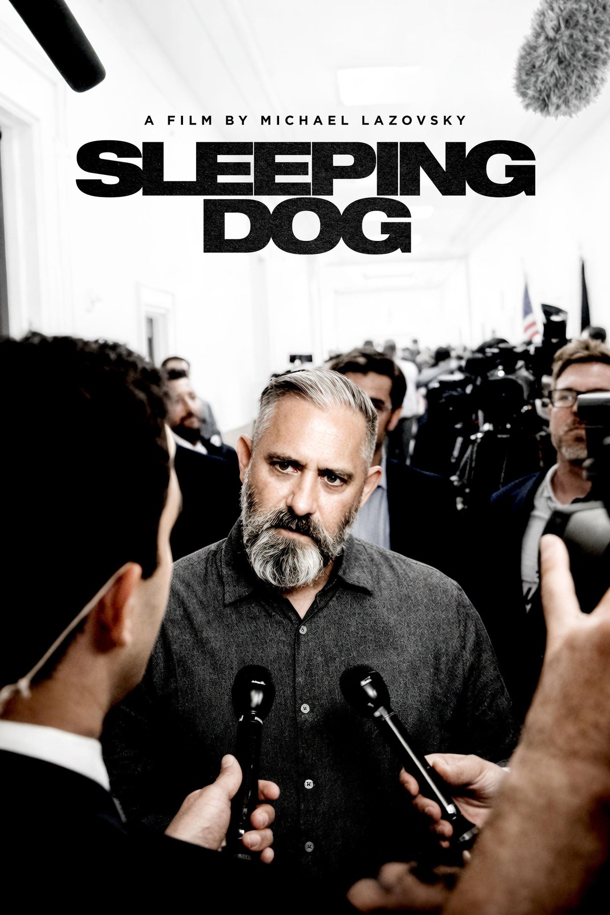 L'affiche du film Sleeping Dog [2026]