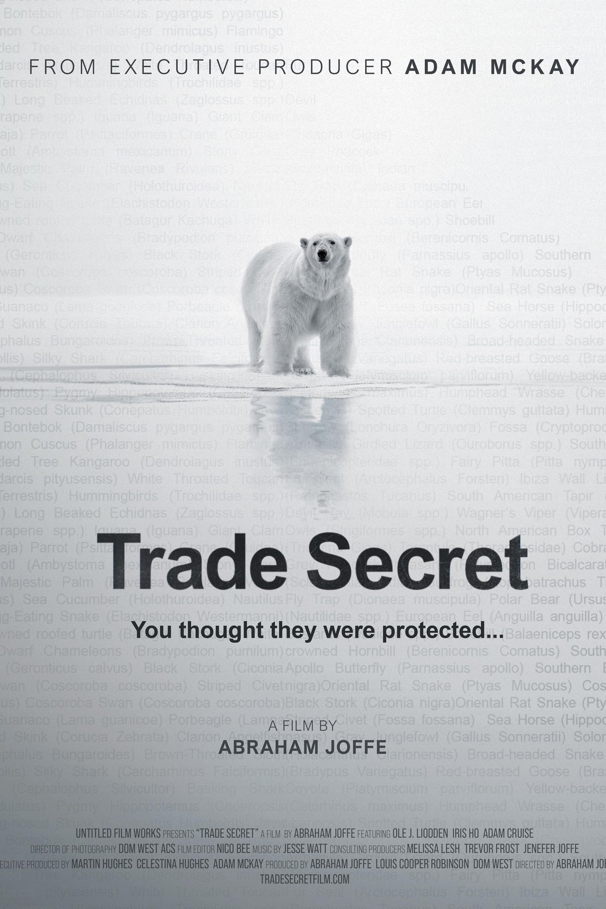 Poster of the movie Trade Secret [2025]