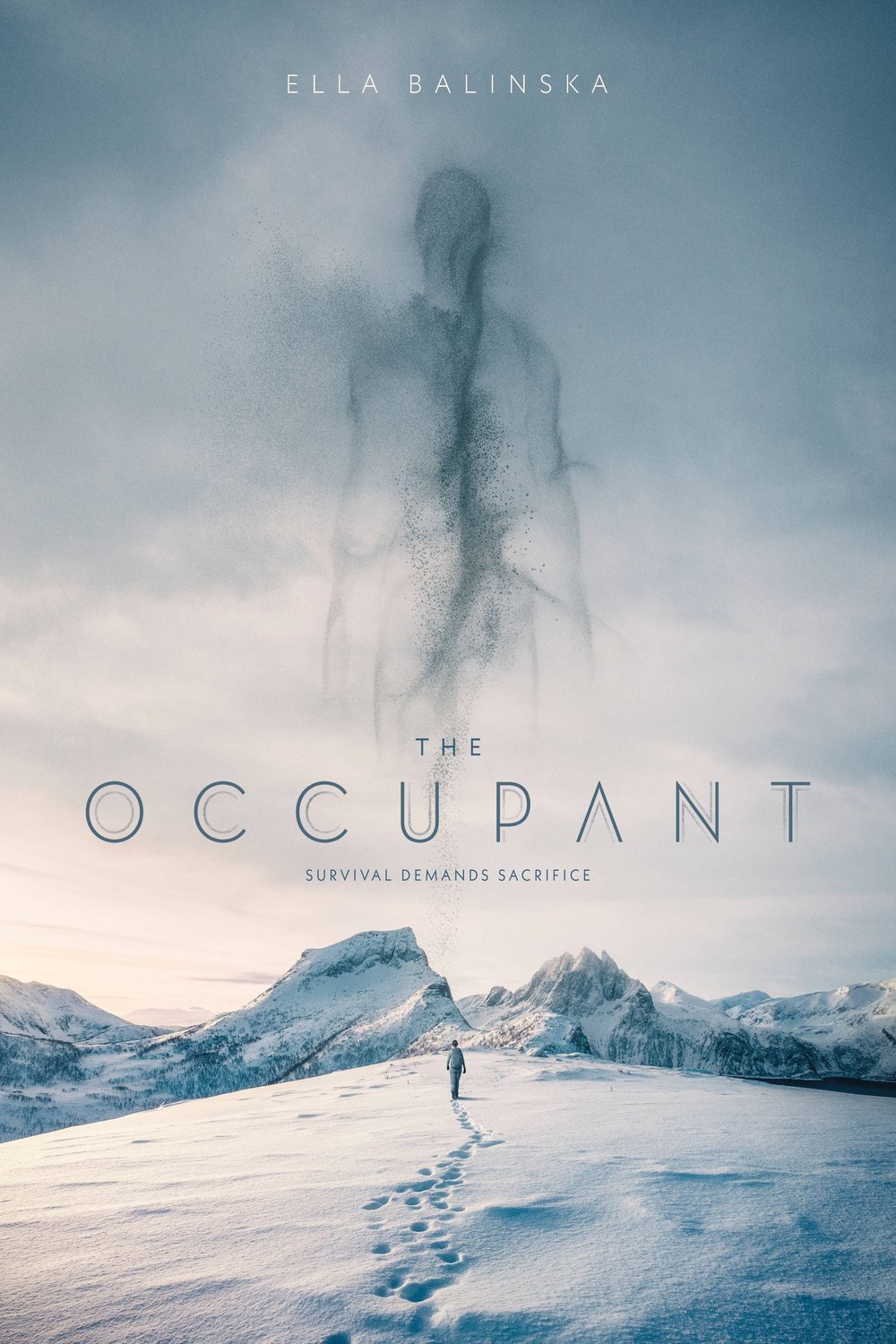 L'affiche du film The Occupant