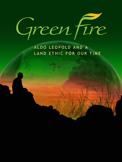 L'affiche du film Green Fire