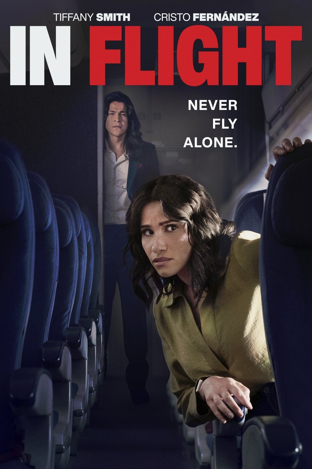 Poster of the movie In Flight