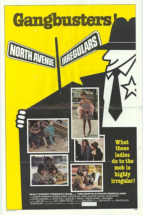 Poster of the movie The North Avenue Irregulars