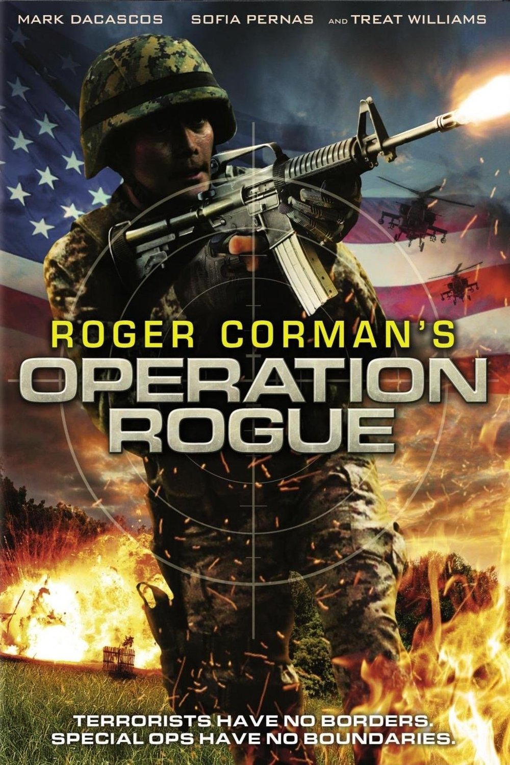 Poster of the movie Operation Rogue