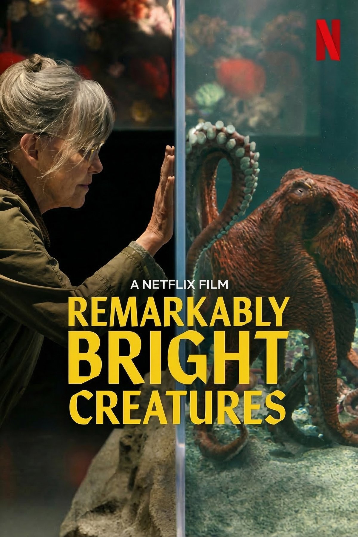 L'affiche du film Remarkably Bright Creatures