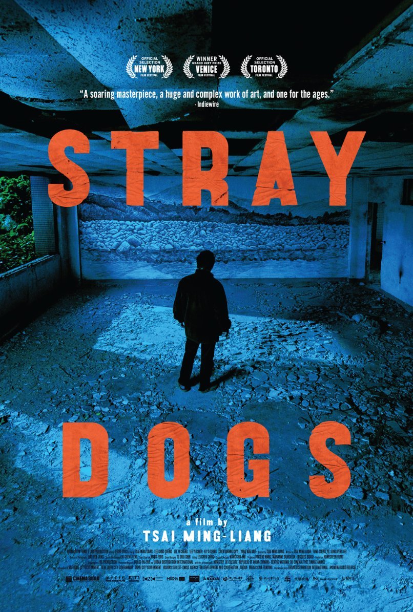 Poster of the movie Stray Dogs