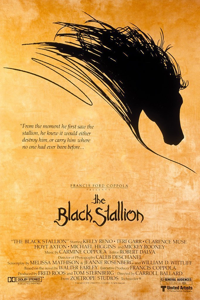 L'affiche du film L'étalon noir