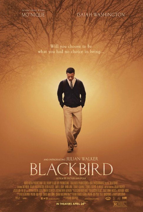 L'affiche du film Blackbird [2014]