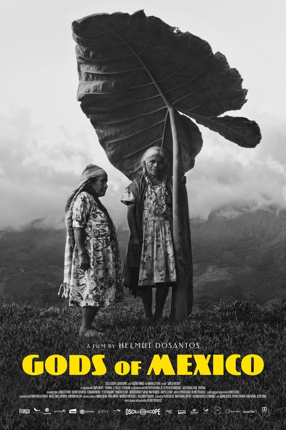 L'affiche du film Dioses de México [2022]