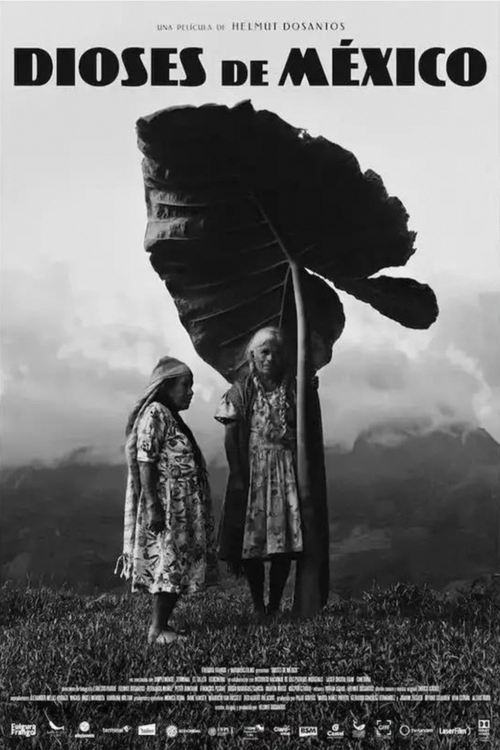 L'affiche du film Gods of Mexico [2022]