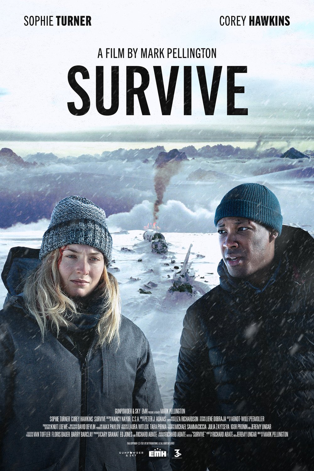 Poster of the movie Survive