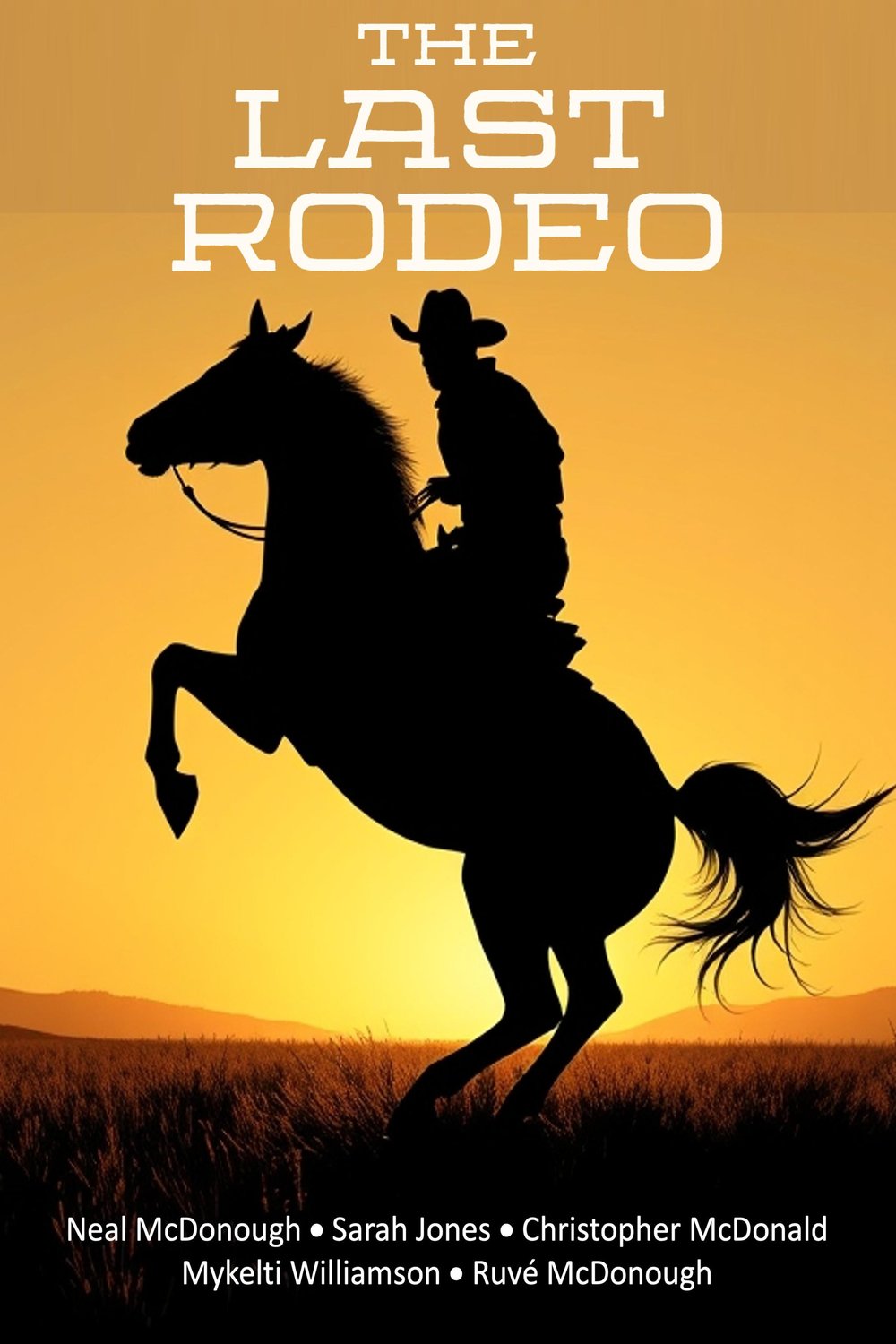 Poster of the movie The Last Rodeo