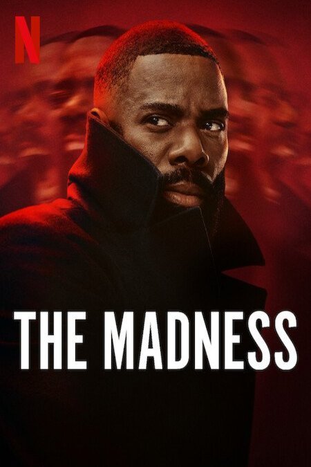 Poster of the movie The Madness