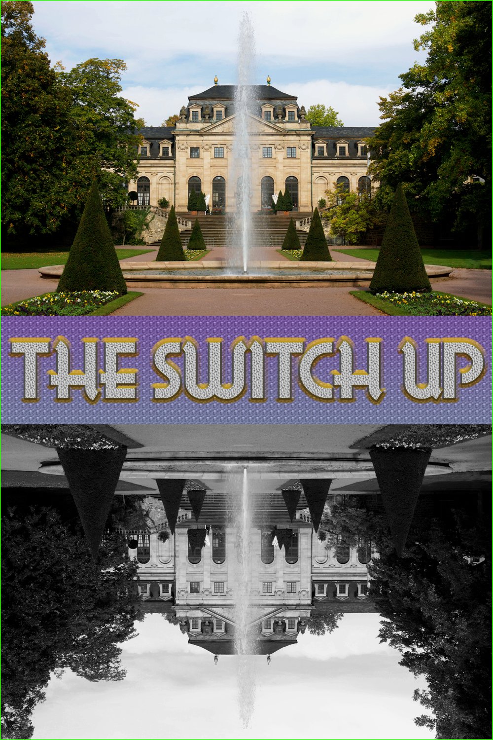 Poster of the movie The Switch Up [2022]