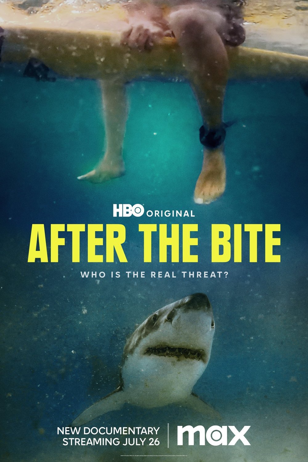 Poster of the movie After the Bite