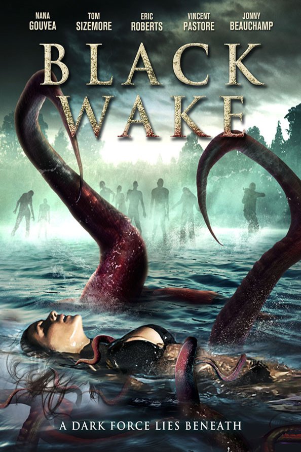 Poster of the movie Black Wake