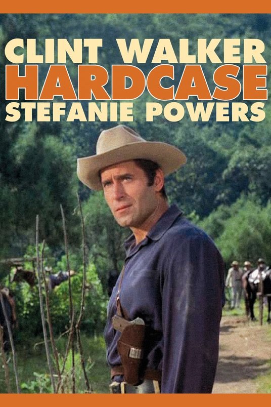 L'affiche du film Hardcase